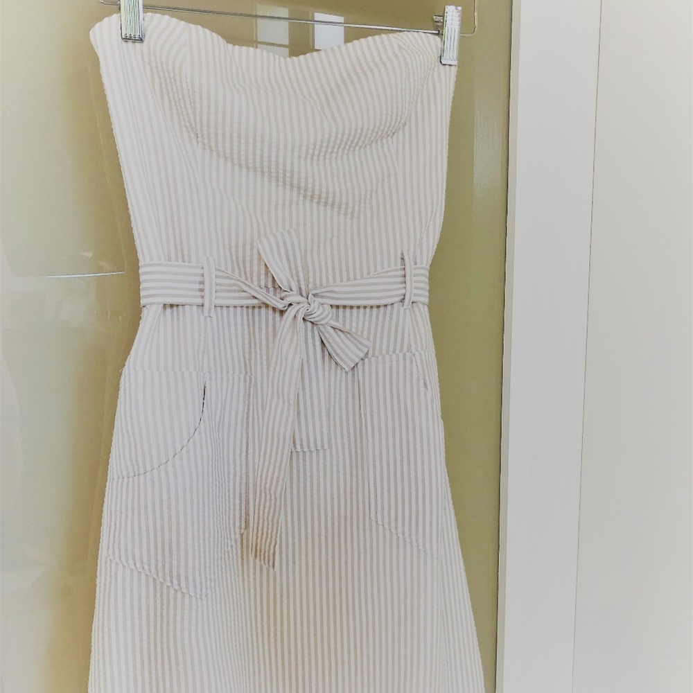Helen Wang  Seersucker Dress